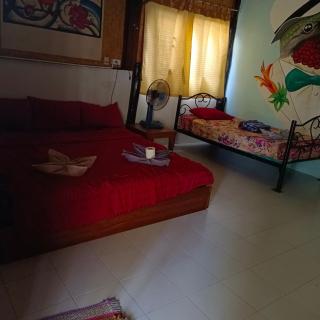 Sunny garden hostel - 5