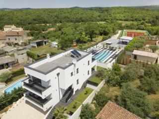 Modern villa Dea with jacuzzi and pool in Porec - Flengi - 0