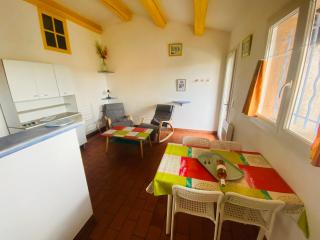 Location climatisée, piscine, animaux acceptés, jardin clôturé, parking, provence , wifi - 2