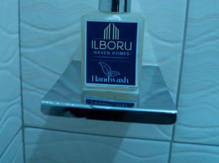 ILBORU HAVEN HOMEs - Arusha - 5