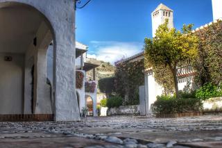 Estudio Marina Dive 409 - 3