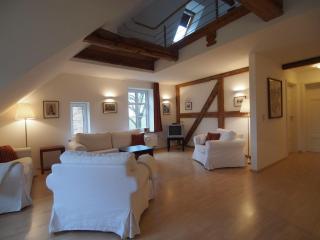 Gut-Rattelvitz-Galerie-F-hochwertig-Sauna-Kamin-eTankstelle-Spielscheune-15-000qm-Park-Land - Gingst - 8