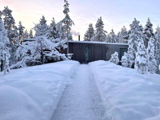 Wood villa like in the middle of Lapland's nature - 0