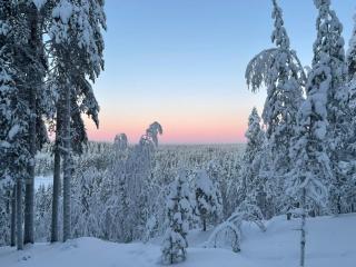 Wood villa like in the middle of Lapland's nature - 4