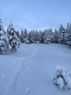 Villa Jäkälä - An architectural wooden villa by the lake - 3