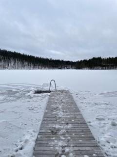 Villa Jäkälä - An architectural wooden villa by the lake - 1