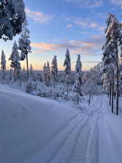 Wood villa like in the middle of Lapland's nature - 3