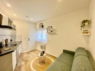 Le Pti'toulousain 9 - Studio Centre - 0