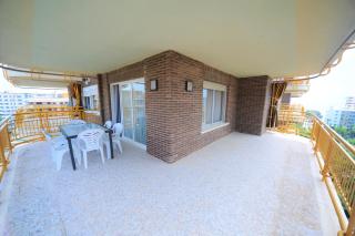 Benipal Orangecosta - 5