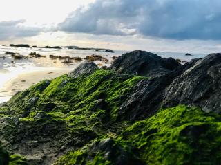 A Sanctuary at Denhams - Family & Pooch Friendly - Surf Beach - 8