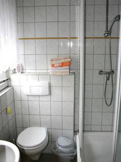 kleines Ferienhaus am idyllischen Tüzer See - - 1