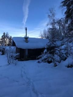 Waldchalet Tulfes - Rinn - 9