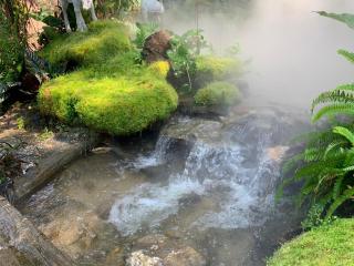 Baan Pingkan Wellness Resort - San Kamphaeng - 4