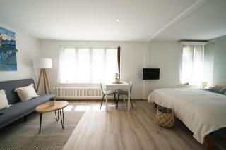 Bijou Studio with Ambiance near Lake - Faulensee - 8