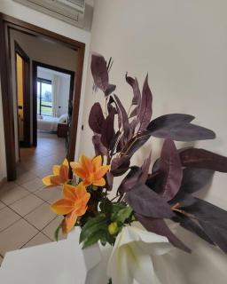 Accogliente Bilocale con Giardino e Parcheggio - 8
