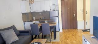 Vila Rtanj - Soko Banja - 9