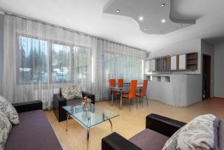 Central Apartament Predeal Nr 4 - Predeal - 0