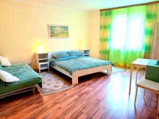 Hotel Zemlinski - Payerbach - 4