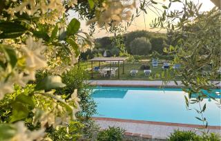 Alloro 3 - Montecarlo - 9