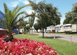 Riverside Caravan Holiday Park - 6
