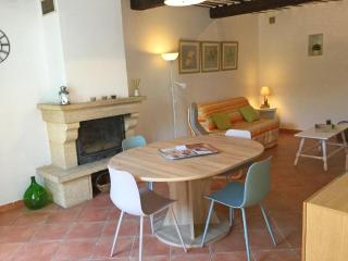Provencal part with private pool, near Avignon, 6 sleeps. - Bédarrides - 4