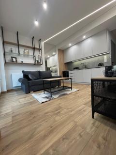 Apartament u Agness, Aleja Szajnowicza Iwanowa 27 Kielce - Kielce - 4
