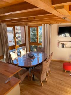 PLEIN SUD AMBIANCE CHALET - Valloire - 5