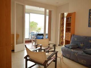 Appart 2 pièces, 5 couchages, accès direct plage, Argeles-sur-Mer - FR-1-225-426 - 8