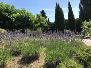 very pleasant provençal mas, typical to the region, with heated pool in saint remy de provence - 9 people - 4