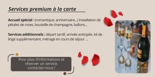 Le Victor Hugo - T2 cosy Horloge-Tassin - Tassin-la-Demi-Lune - 6