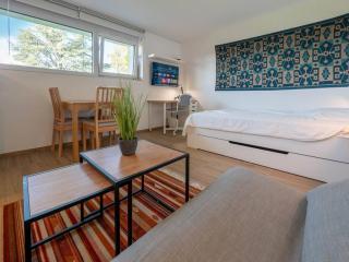 New & Stylish Studio in prime location - Lausanne - 2