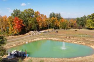 Beautiful Equestrian Estate home w/ Hot Tub! - 9