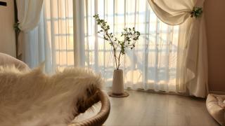 Pension Haneul Tari - Jeju-stad - 4