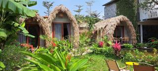 Amy house - Ninh Binh - 7