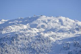 Apart Traumblick - Zellberg - 5