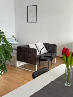 Apartmán ERUDITO XXVI centrum Jihlava - Jihlava - 4