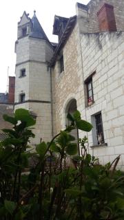 Manoir des Roches 41 - Bourré - 4