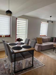 Apartman Mountain View - Vlasic - 5