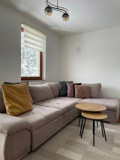 Apartman Mountain View - Vlasic - 4