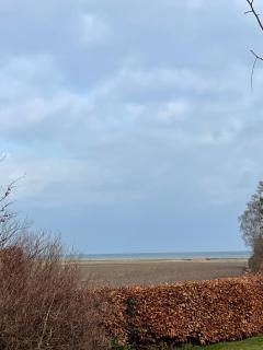 KragenæsHus - Torrig - 6