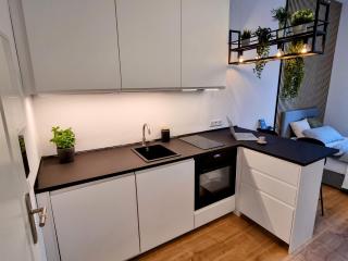 Modernes Apartment im Zentrum von Karlsruhe - Karlsruhe - 7