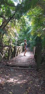 Pajarito Eco-Lodge frente al mar - 3