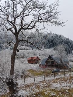 Süllü Dağ Evi - 8
