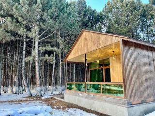 Milenium magic villa on Sevan beach - Sevan - 0
