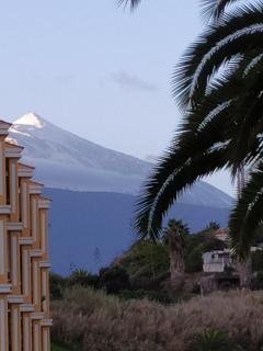 Acogedor vistas piscina y Teide - Santa Úrsula - 6