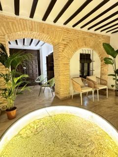 MANZANO PALACE. Apartamentos con Terraza - Almagro - 5
