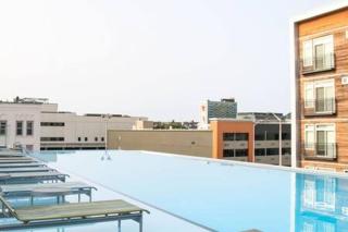 CozySuites TWO Stylish Apts, Monument Circle, Indy - Indianápolis - 8