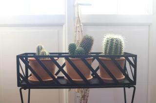 La maison Benastre - 1