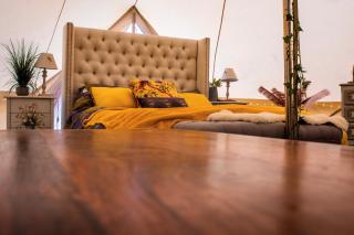 The Follies Glamping - 1