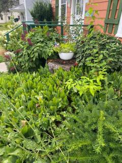 Centrally Located - Historic Blaney Park- Michigan - Germfask - 6